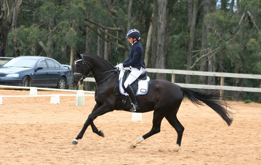 Premium Mare Candidate Awarded for Von Cheri!!