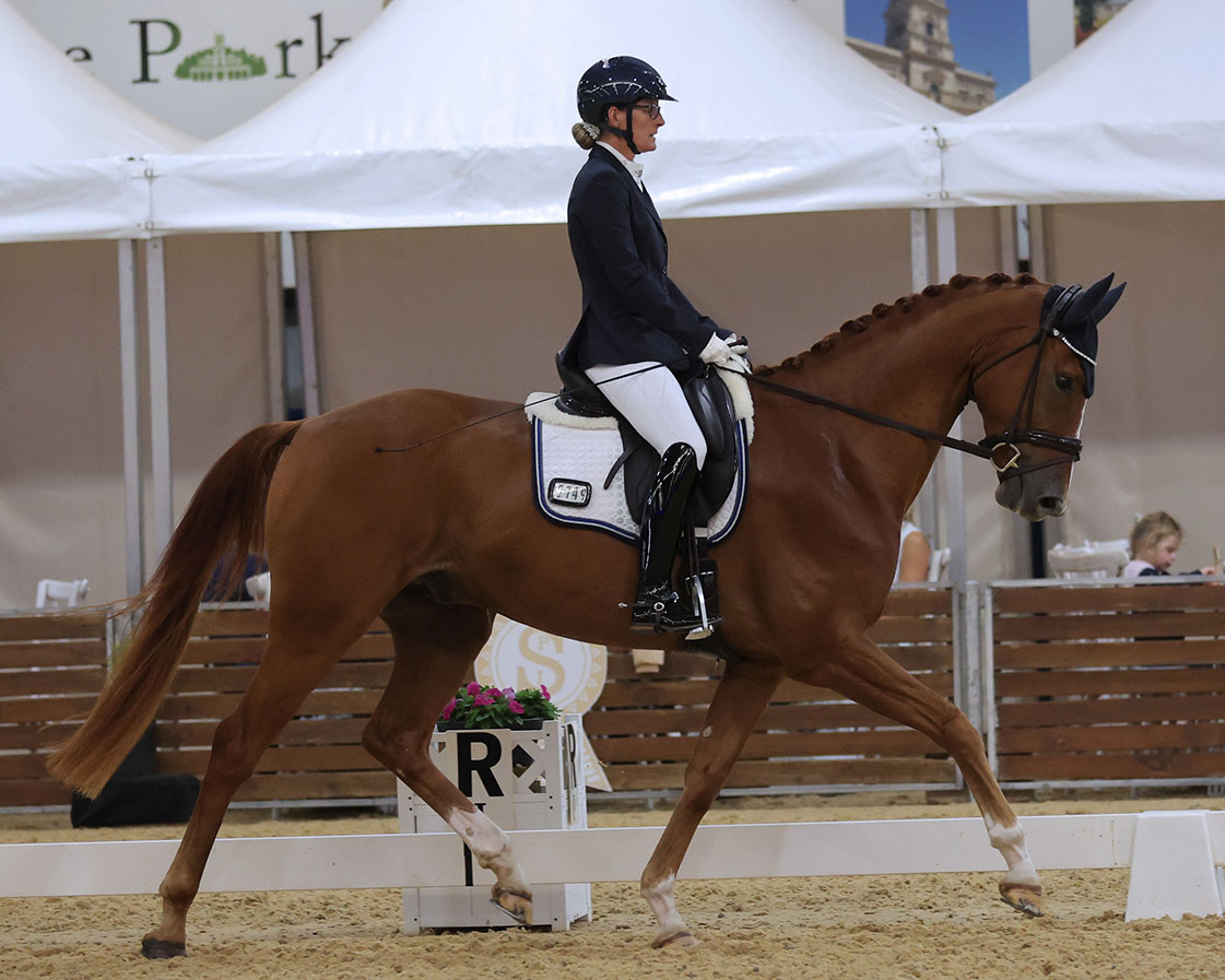 Black Sterling Forza