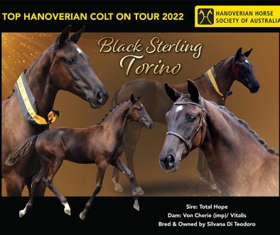 2022-April-Black-Sterling-Torino-v3-(1)