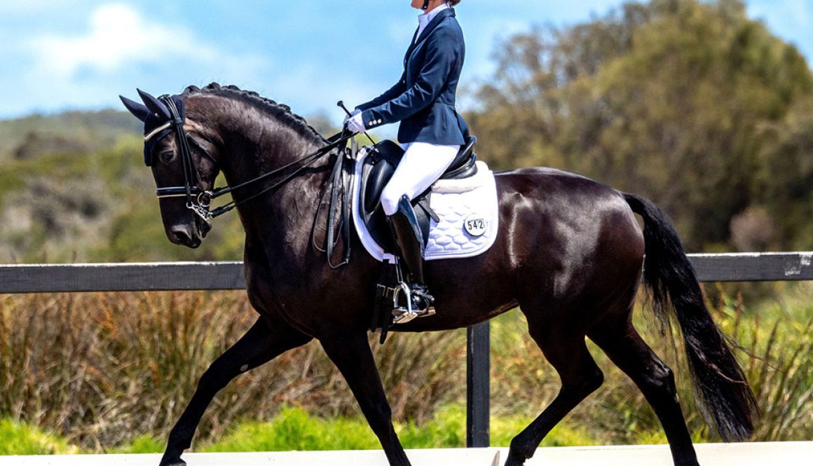 50004341-(ZF-10684-28273-1-001)