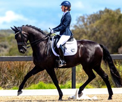 50004341-(ZF-10684-28273-1-001)